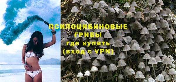 эйфоретик Бородино