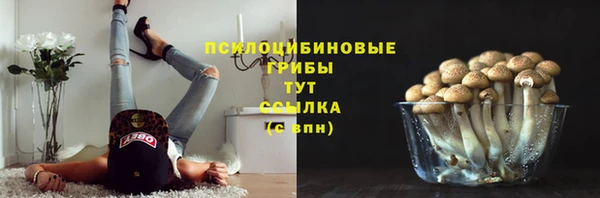эйфоретик Бородино