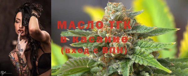 эйфоретик Бородино