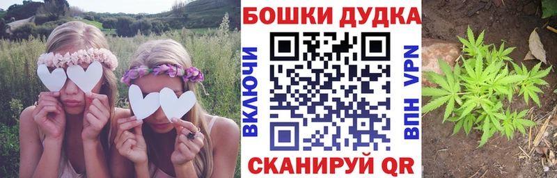 дарнет шоп  Красавино  Бошки Шишки сатива 